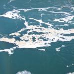 2007-09-30-16-18-H-001.JPG