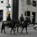2007-12-22_16-13-06-K.JPG