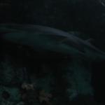 2007-12-22_21-59-38-H.JPG