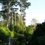 2007-12-23_18-41-16-K.JPG