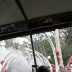 2007-12-28_16-55-49-K.JPG