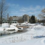 2008-03-10-12-27-k.jpg