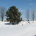 2008-03-10-12-34-k.jpg