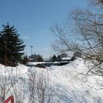 2008-03-10-12-36-k-001.jpg