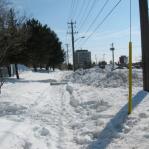 2008-03-10-12-41-k-001.jpg