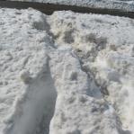 2008-03-10-12-41-k.jpg