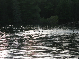 2008-07-11_18-45-23-K.JPG