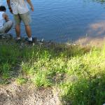 2008-07-11_16-31-58-K.JPG