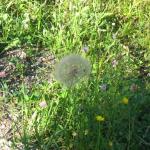 2008-07-11_16-32-05-K.JPG