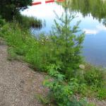 2008-07-11_16-43-01-K.JPG