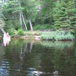 2008-07-11_17-51-16-K.JPG