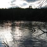 2008-07-11_18-45-08-K.JPG
