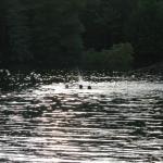 2008-07-11_18-45-23-K.JPG