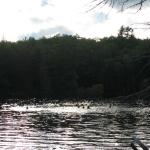 2008-07-11_18-45-38-K.JPG