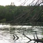 2008-07-11_18-45-53-K.JPG