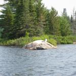 2008-07-12_09-46-22-K.JPG
