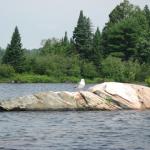 2008-07-12_09-46-46-K.JPG