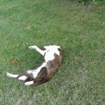 2008-07-17_19-07-05-K.JPG