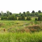 2008-07-17_19-16-37-K.JPG