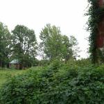 2008-07-17_19-32-59-K.JPG