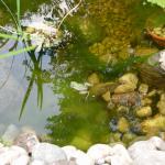 2008-07-17_19-38-07-K.JPG