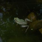 2008-07-17_19-39-05-K.JPG