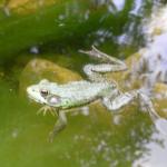 2008-07-17_19-39-59-K.JPG