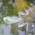 2008-07-17_19-40-20-K.JPG