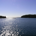 2007_09_08_10_11-004.JPG