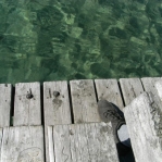 2007_09_08_11_02-003.JPG