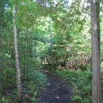 2007_09_08_11_05.JPG