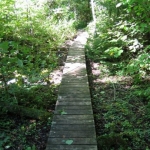 2007_09_08_11_07-001.JPG