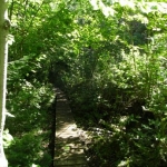 2007_09_08_11_08-001.JPG