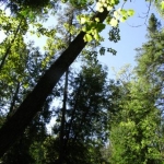 2007_09_08_11_09-001.JPG