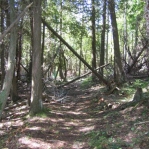 2007_09_08_11_12.JPG
