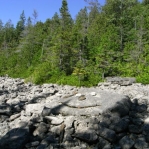 2007_09_08_11_14.JPG