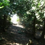 2007_09_08_11_19-001.JPG