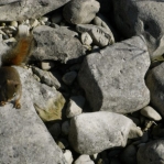 2007_09_08_11_25-002.JPG