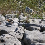 2007_09_08_11_25-017.JPG