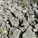 2007_09_08_11_25.JPG