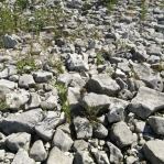 2007_09_08_11_26-004.JPG