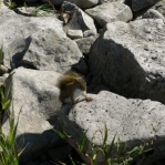 2007_09_08_11_26-005.JPG