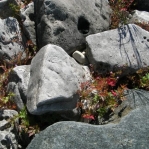 2007_09_08_11_29.JPG