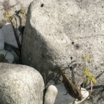 2007_09_08_11_34.JPG
