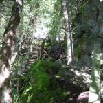 2007_09_08_11_48.JPG