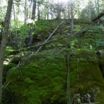 2007_09_08_11_57.JPG