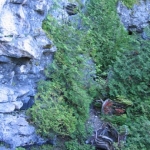 2007_09_08_13_03.JPG