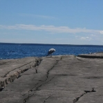 2007_09_08_13_11-003.JPG