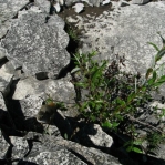 2007_09_08_13_38-002.JPG