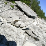 2007_09_08_13_52.JPG